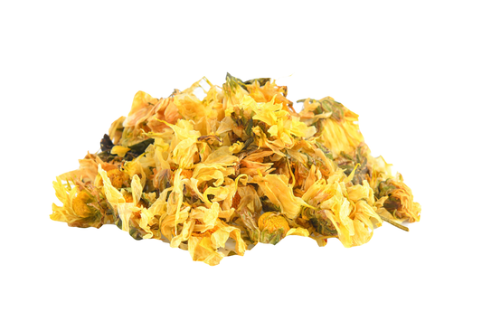 Chrysanthemum